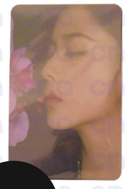 BLACKPINK - Official Photocards